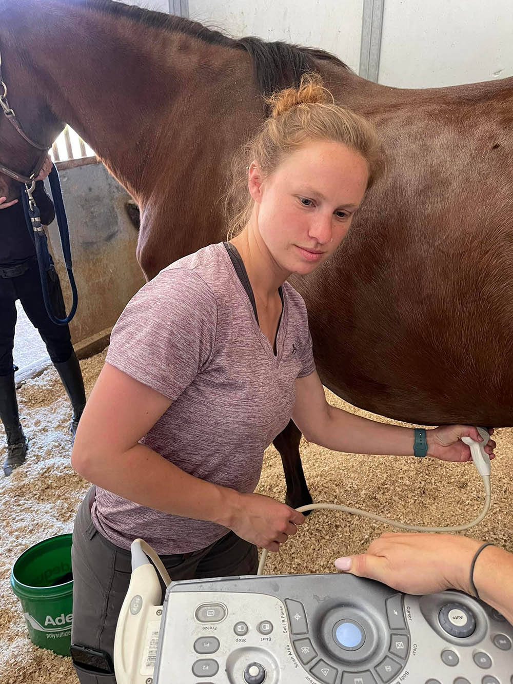 Equine Medical Associates - Lake Forest, California